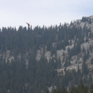 normal_22042010bergffaktivnews_40.jpg