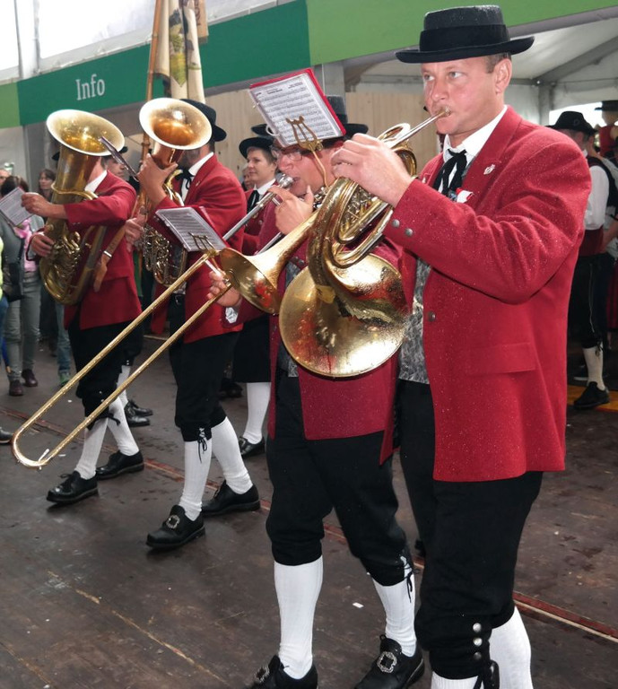 29_6_2014 Musikfest Langenegg 14.jpg