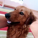 IMAG0459_2_1.jpg