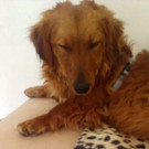 IMAG0476_1.jpg