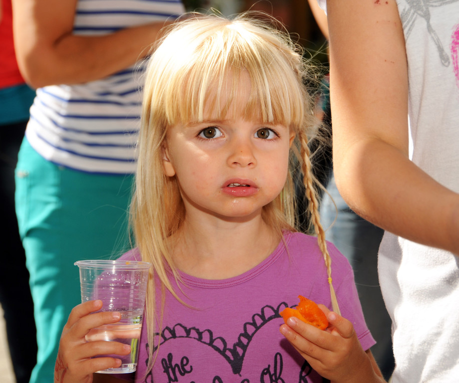 Spielefest Gai__au 01-07-2014 74.jpg