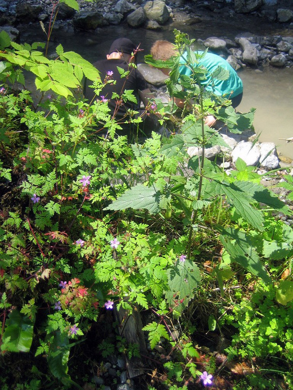 IMG_5163.JPG
