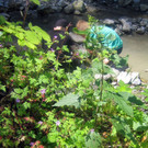 IMG_5163.JPG