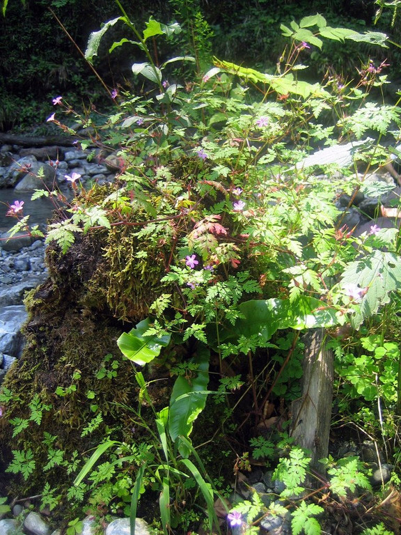 IMG_5164.JPG