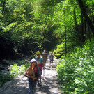 IMG_5166.JPG