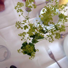 P1850481.JPG
