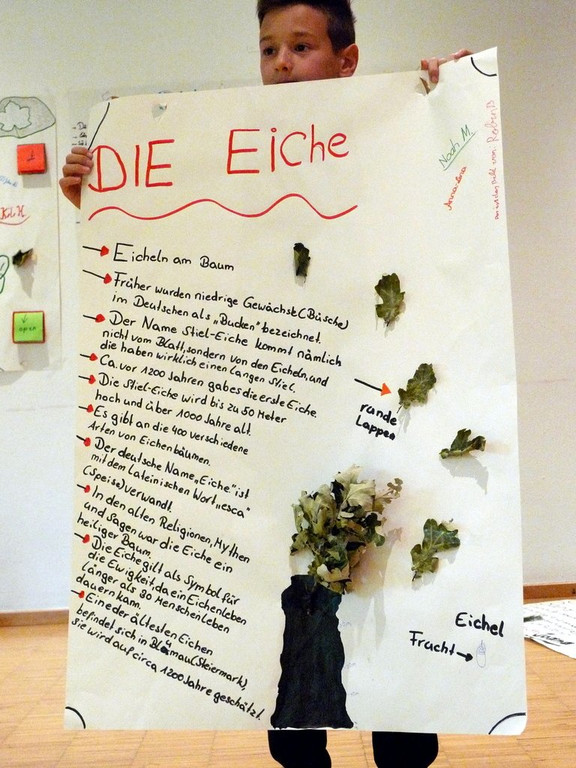 P1850534.JPG