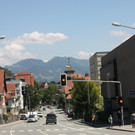 IMG_7433.JPG