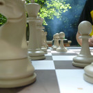 P1020987.JPG