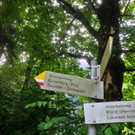 KOE_Wandertipp Brand-Sarotla 4.jpg