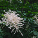 KOE_Wandertipp Brand-Sarotla 10.jpg