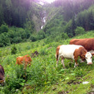 KOE_Wandertipp Brand-Sarotla 18.jpg