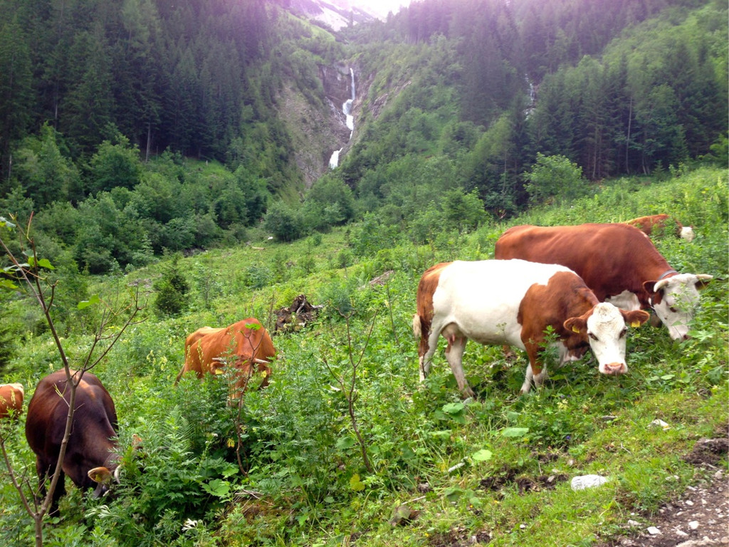 KOE_Wandertipp Brand-Sarotla 18.jpg