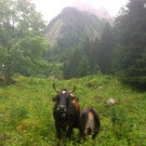 KOE_Wandertipp Brand-Sarotla 19.jpg