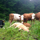 KOE_Wandertipp Brand-Sarotla 20.jpg