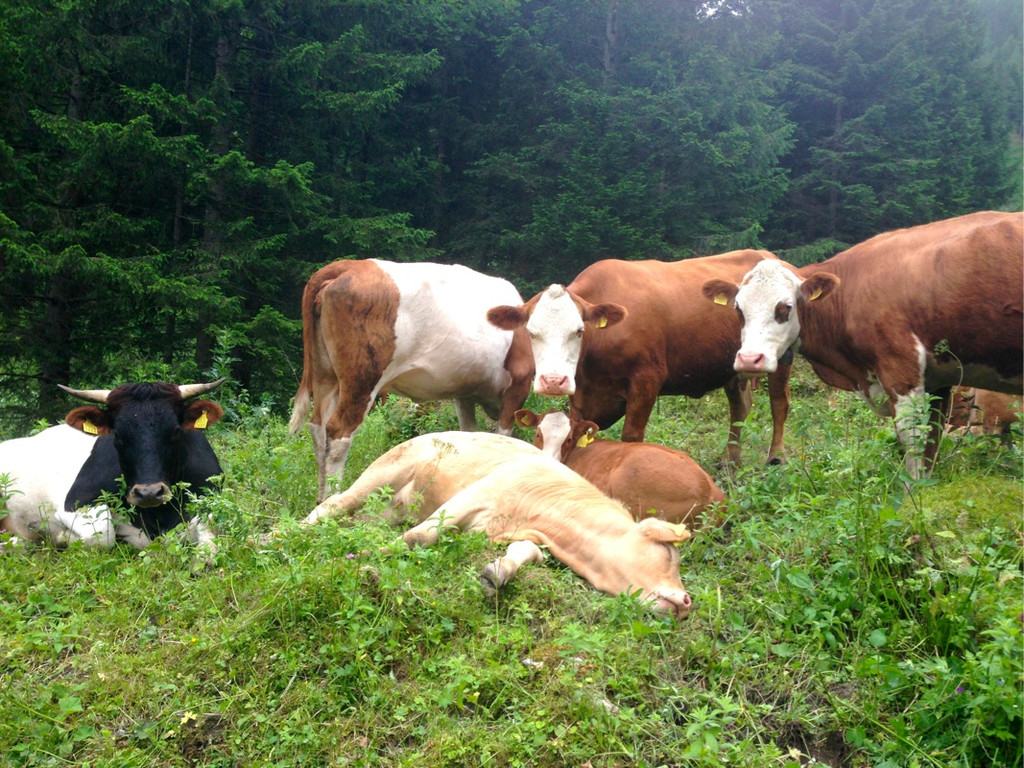 KOE_Wandertipp Brand-Sarotla 20.jpg