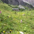 KOE_Wandertipp Brand-Sarotla 24.jpg