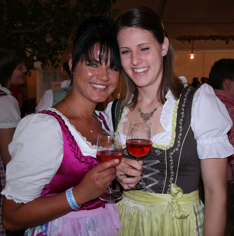 4_7_2014 Landesfeuerfest Alberschwende20.jpg