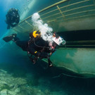 file6g01feucljsh830xnzl.jpg