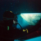 file6g01ffyoxkof112unzl.jpg