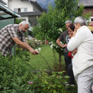 IMG_8953 small.jpg