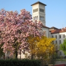 Den Fruehling genießen