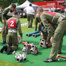 5_6_2014 Landesfeuerwehr Alberschwende 18.jpg