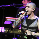 ABD0064-20140705 - Kopie.jpg