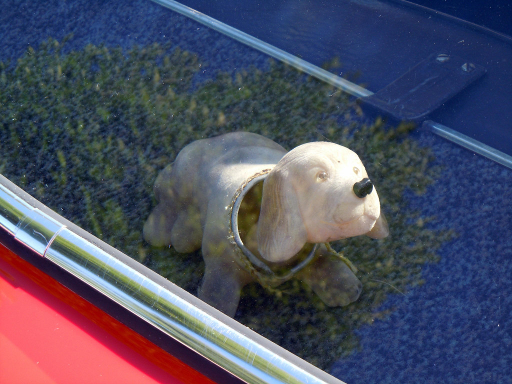 DSCN4705.JPG