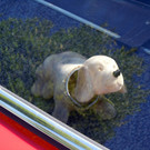 DSCN4705.JPG