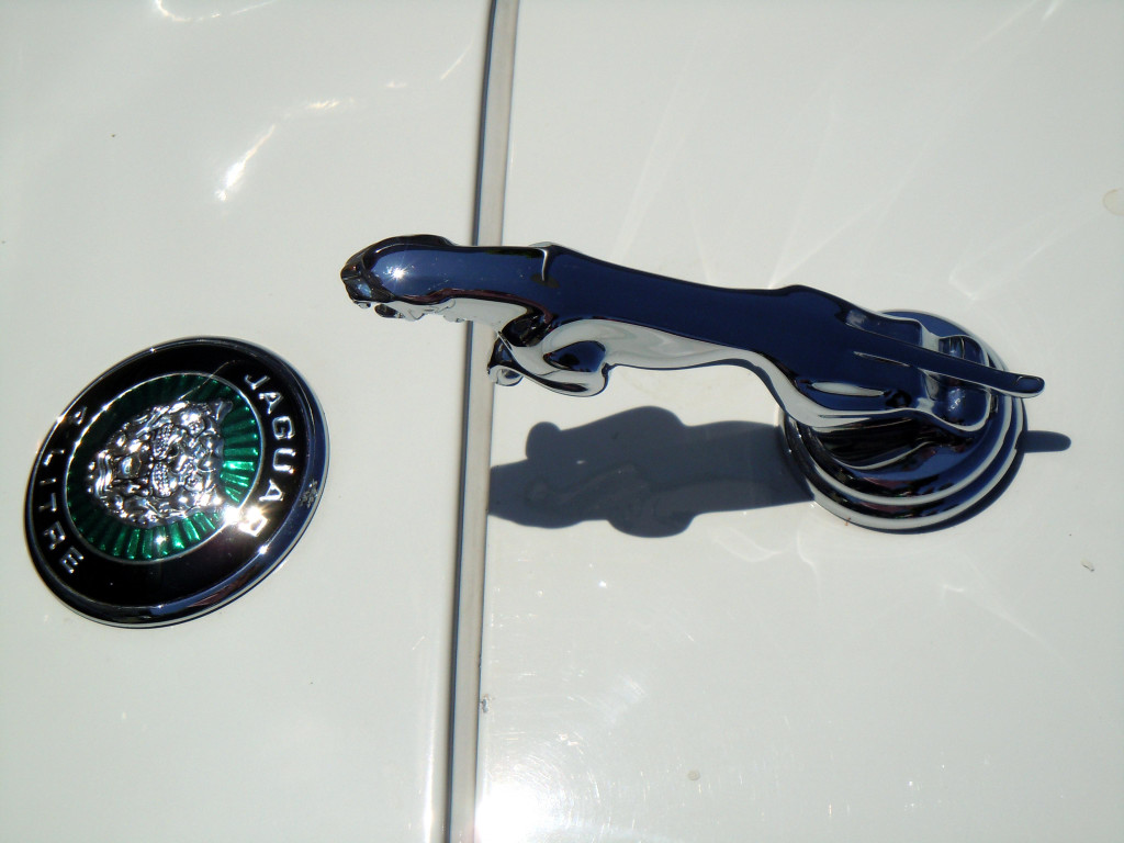DSCN4748.JPG