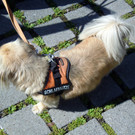 DSCN4761.JPG