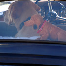 DSCN4765.JPG