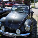 DSCN4784.JPG