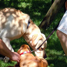 DSCN4814.JPG