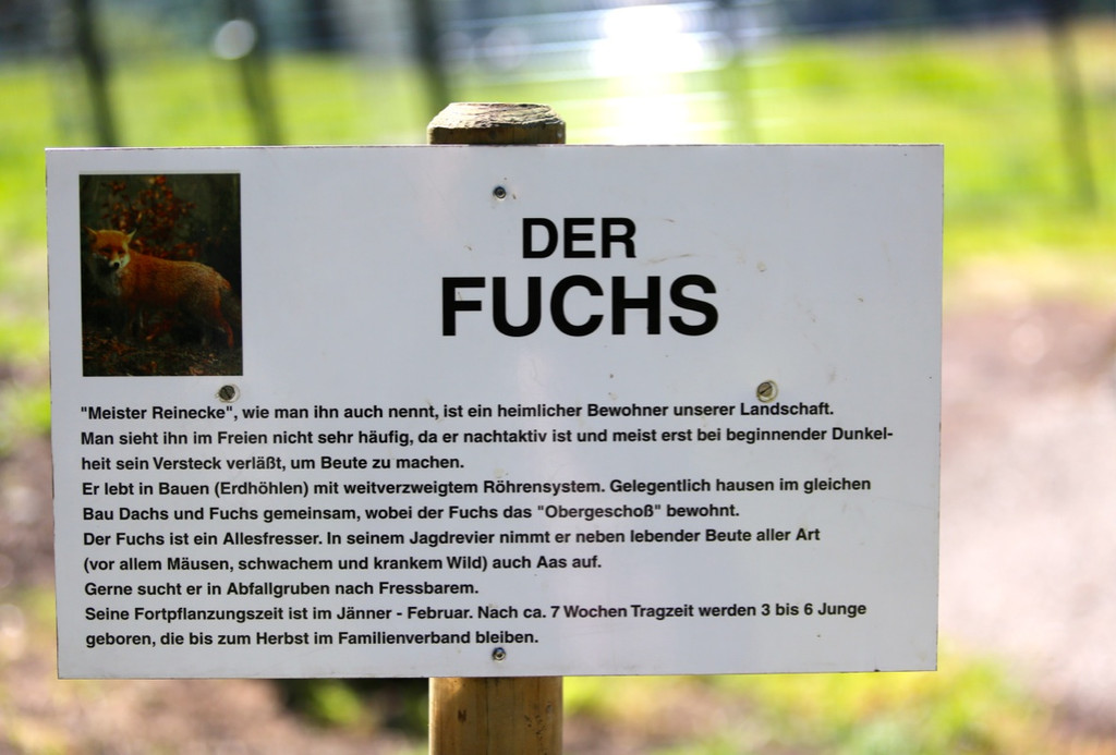 KOE_Eroeffnung Fuchsgehege Wildpark 10.jpg