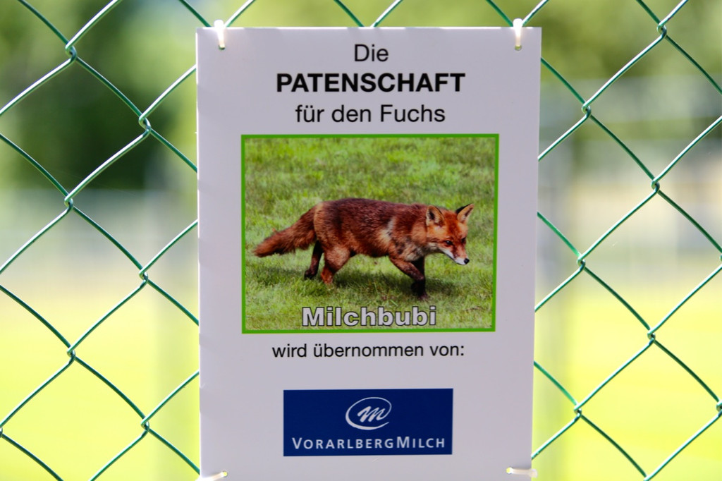 KOE_Eroeffnung Fuchsgehege Wildpark 12.jpg