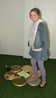 DSCN0253.JPG