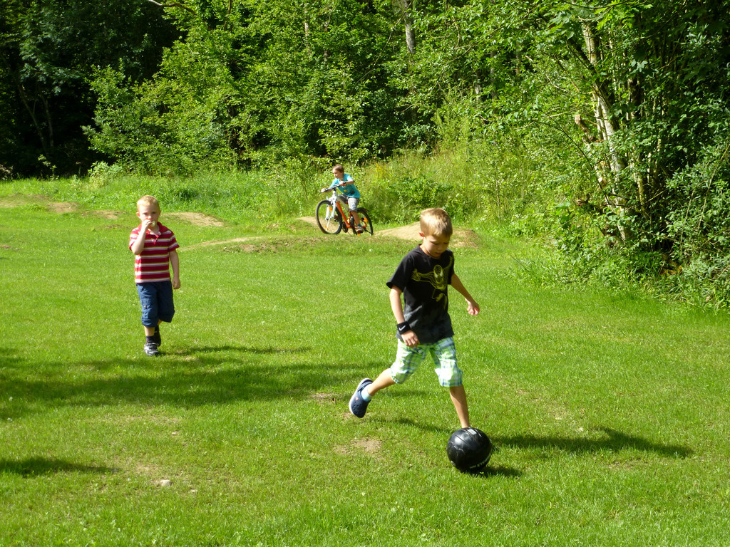 bozenau_fussrad.jpg