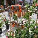 DSC_0084.JPG