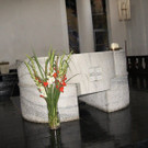 DSC03586.JPG