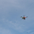 IMG_3921.jpg