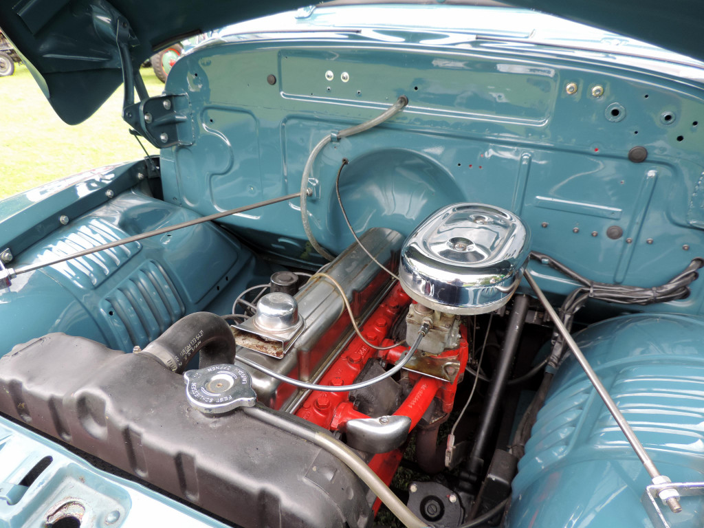 DSCN5646.JPG