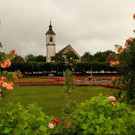 IMG_7236A.jpg