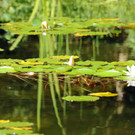 Dorffest 06-07-2014 81.jpg
