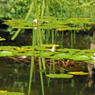 Dorffest 06-07-2014 82.jpg
