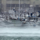 IBD0086-20140708.jpg