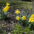 _DSC04020001_JPG-1272048476