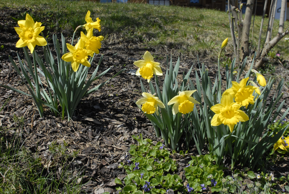 _DSC04020001_JPG-1272048476