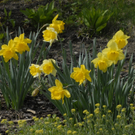 _DSC00050001_JPG-1272048843